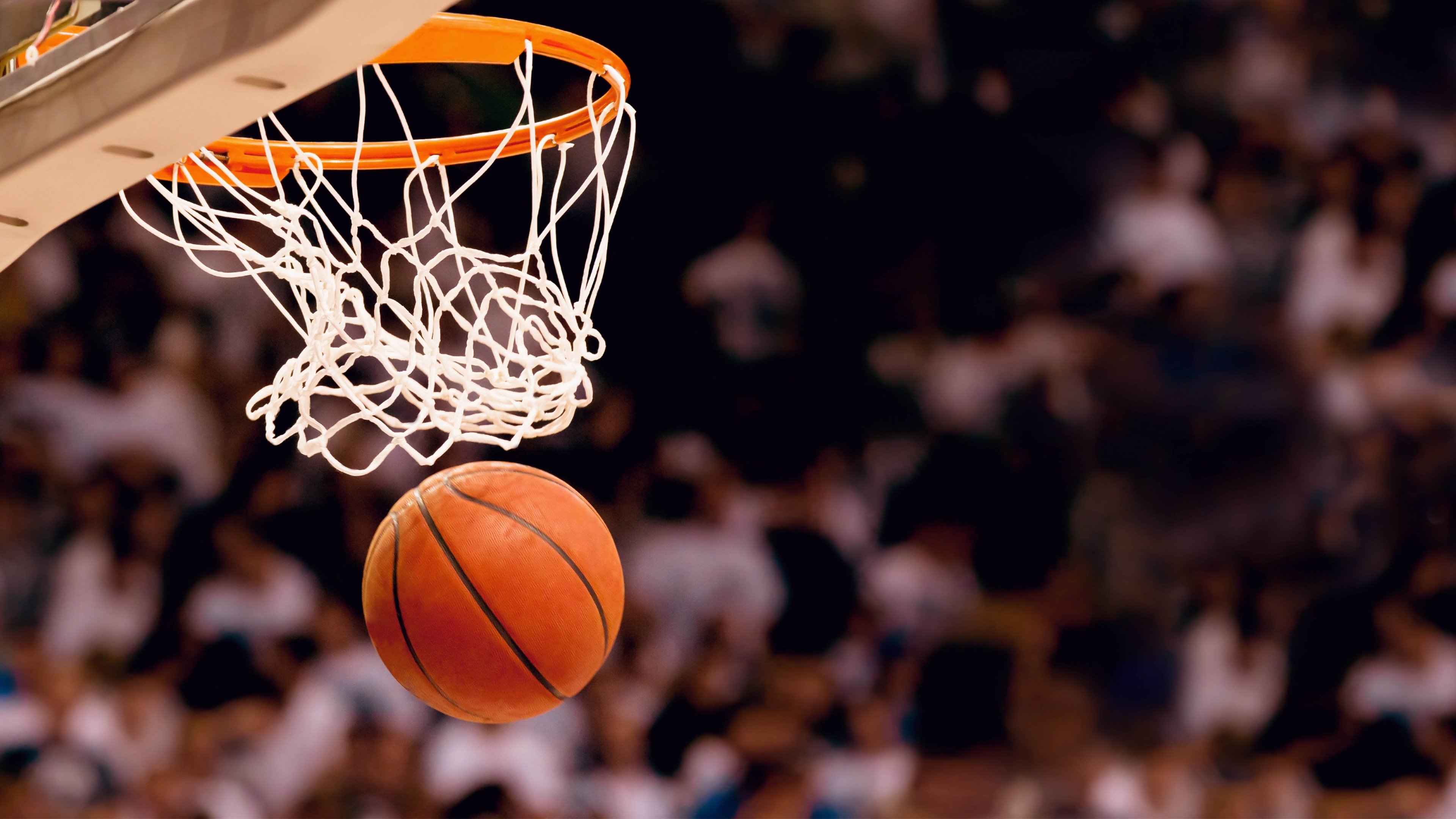 东契奇时代的句点，独行侠豪赌与NBA权力的七方重构|MK体育在线观